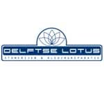 De Delftse Lotus | Wasserij & Drogerij en APK Delft - Station Delft